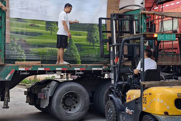 Statsnettet Henan 2025 -projekt afsluttet